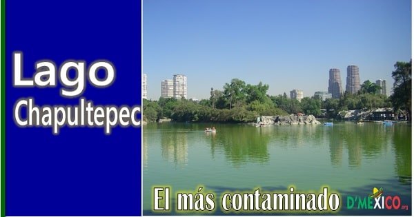 Cual es el lago mas contaminado de Mexico