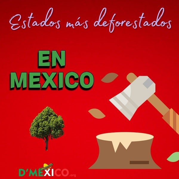 Deforestacion en Mexico